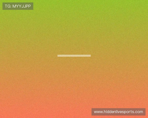 深入剖析捷克与南非在世界杯中的后防线组织与防守漏洞探讨